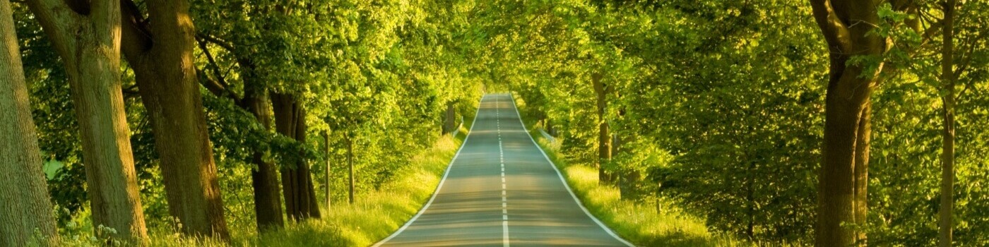 احمد شجاعی‌فر